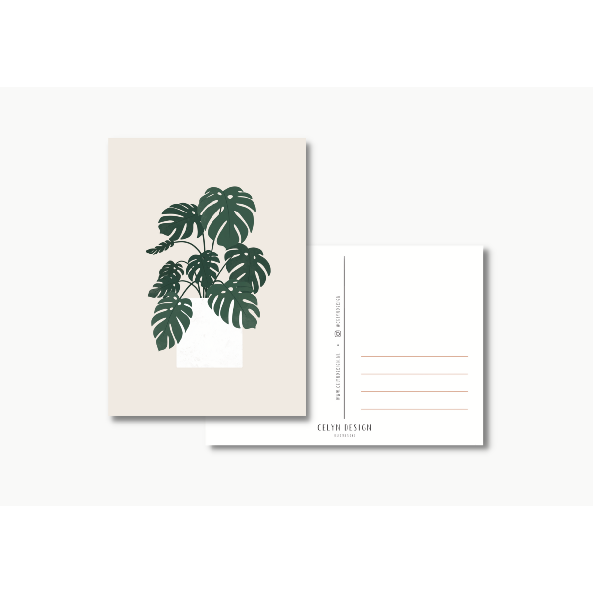 Ansichtkaart - Monstera
