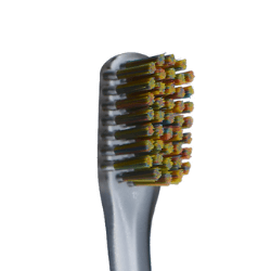 promis brush single (12 pack)