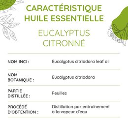 Olejek eteryczny z cytryny eukaliptusowej 10 ml