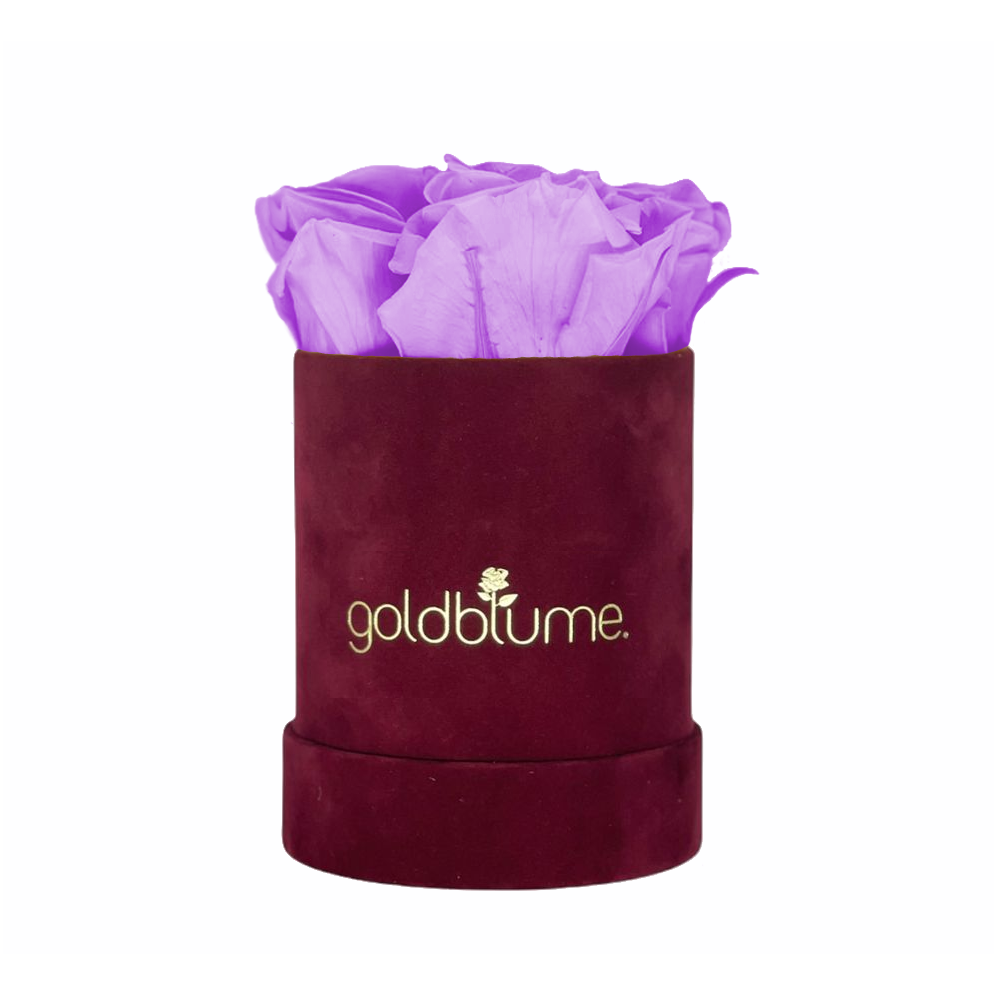 Collection Velours Bordeaux