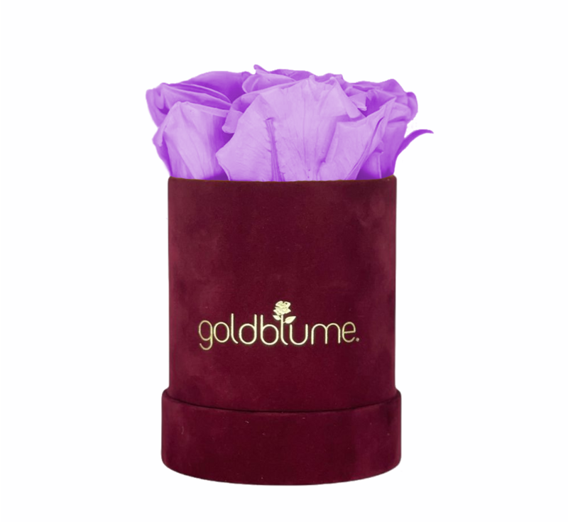 Velvet Bordeaux Collection
