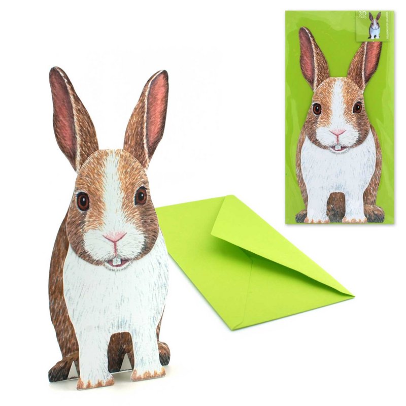 Lapin de carte animale 3D