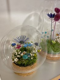 Tørret blomsterklokke (haveboble (9 cm))