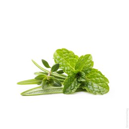 Garden herb dip spice
