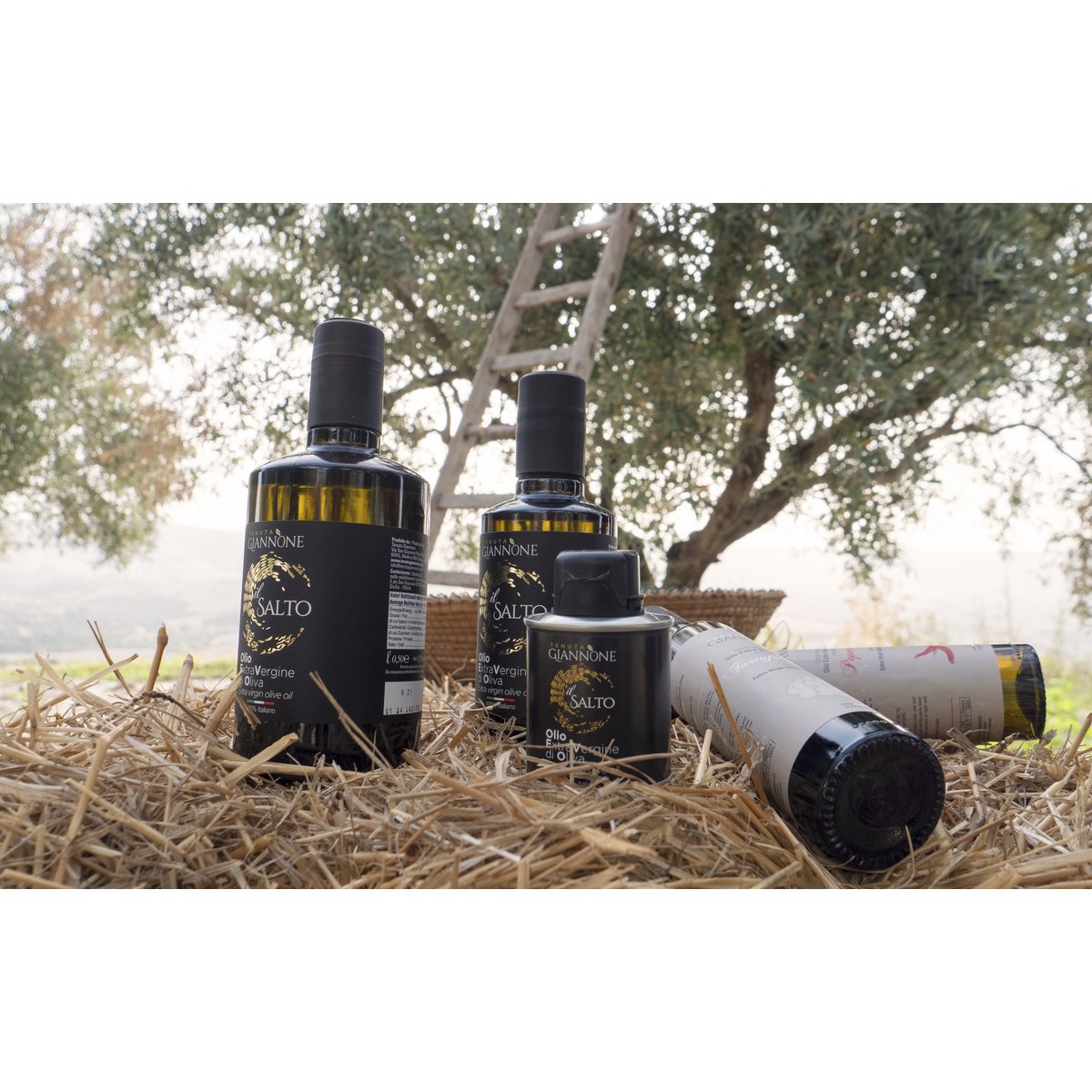 ITALIA | SICILIA | FLAVOURED Extra Virgin Olive Oil | LEMON | 250 ml