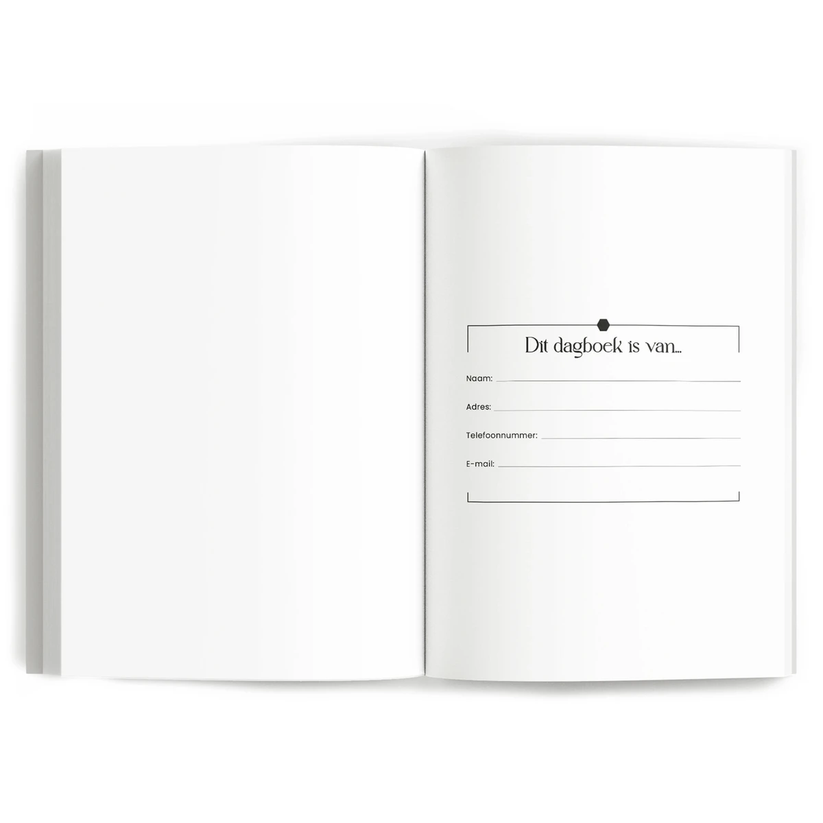 Fyllbooks chwila dziennie dziennik - Olive Green