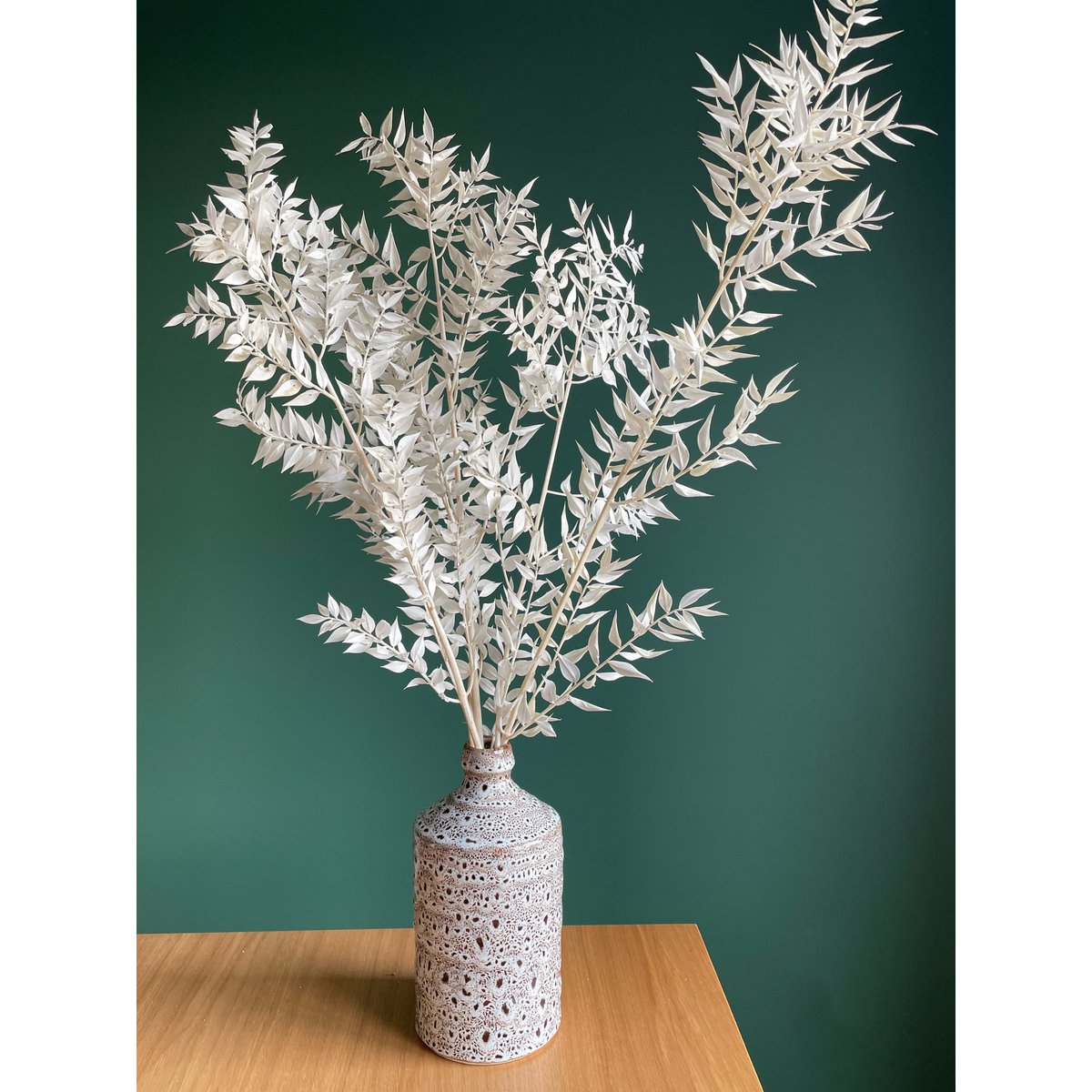 Ruscus Blanqueado 5 tallos