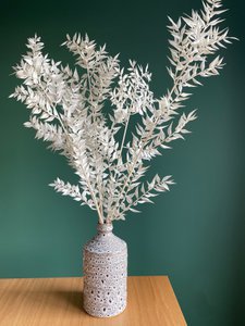 Ruscus Bleached 5 stems