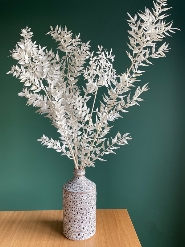 Ruscus Blanqueado 5 tallos