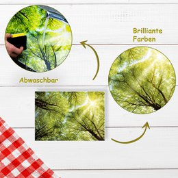 Artipics Tovagliette Tovagliette Tovagliette Lavabili 4 pezzi Tovagliette Lichtblick plastica 42 x 30 cm Tovaglietta naturale, motivo foresta particolarmente bello con riflessi di luce