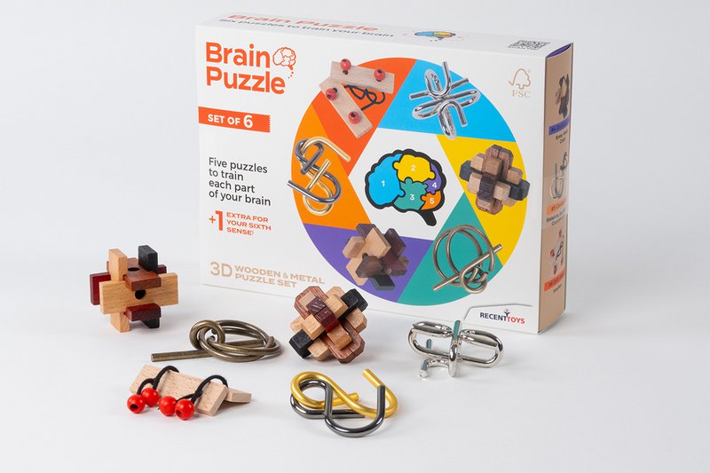 Brain Puzzles - set of 6