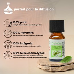 Etherische olie - Eucalyptus - 10 ml - Gebruik voor diffusie - Verpakt in Frankrijk