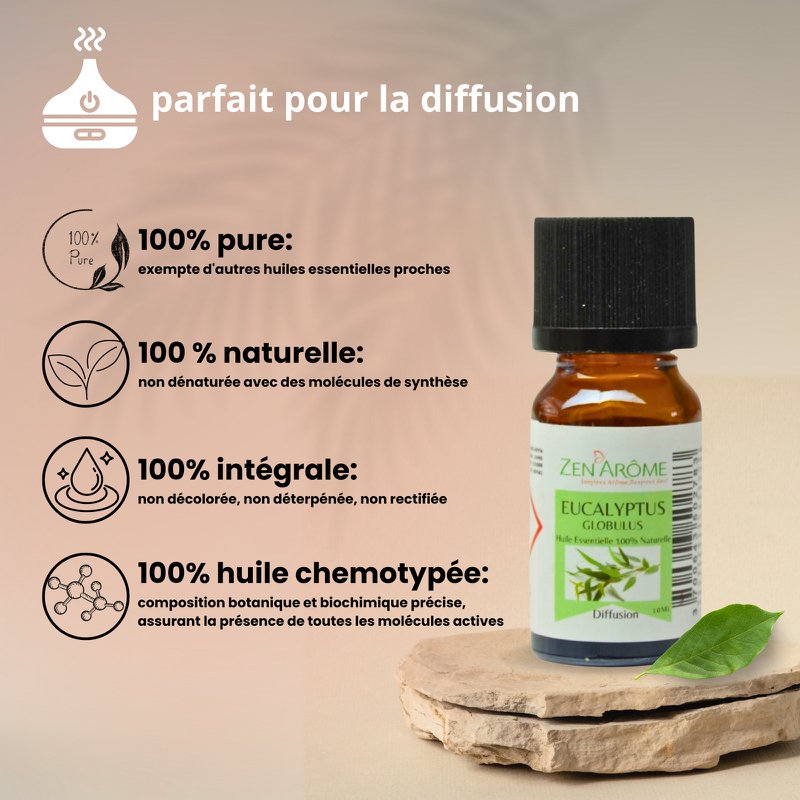 Etherische olie - Eucalyptus - 10 ml - Gebruik voor diffusie - Verpakt in Frankrijk