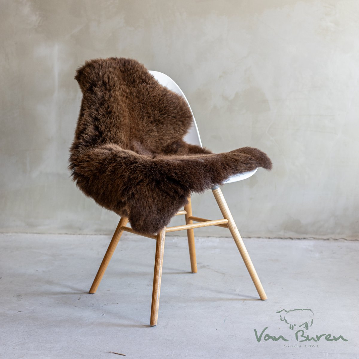 Brown Texel Schaffell | 4 Varianten