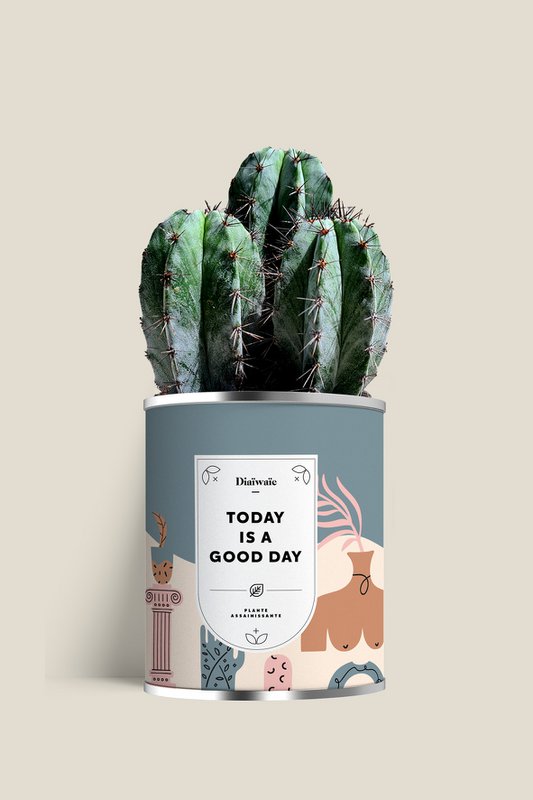 VANDAAG IS EEN GOEDE DAG - Groot model