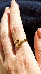 Quinn - Liebes-Umarmungs-Ring