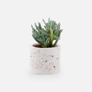 Terrazzo-Blumentopf - weiß