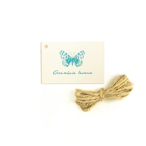 Gift tag butterflies of the world No. 03