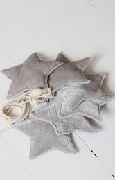 Fluwelen slinger "Silver Dust" met sterren