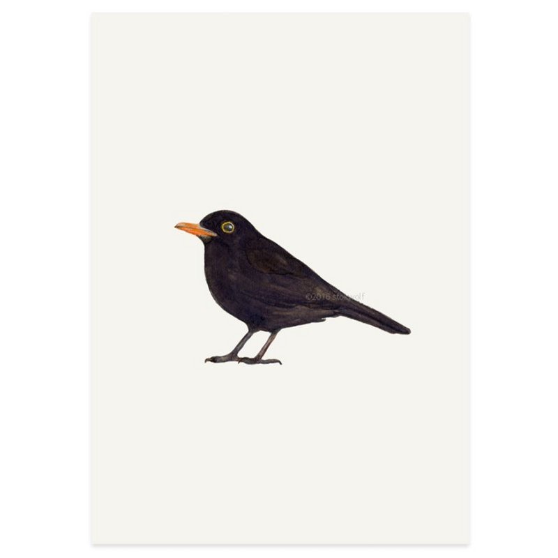 print | Blackbird