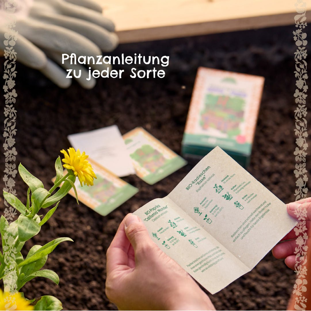 Saatgut-Set Essbare Blüten (BIO)