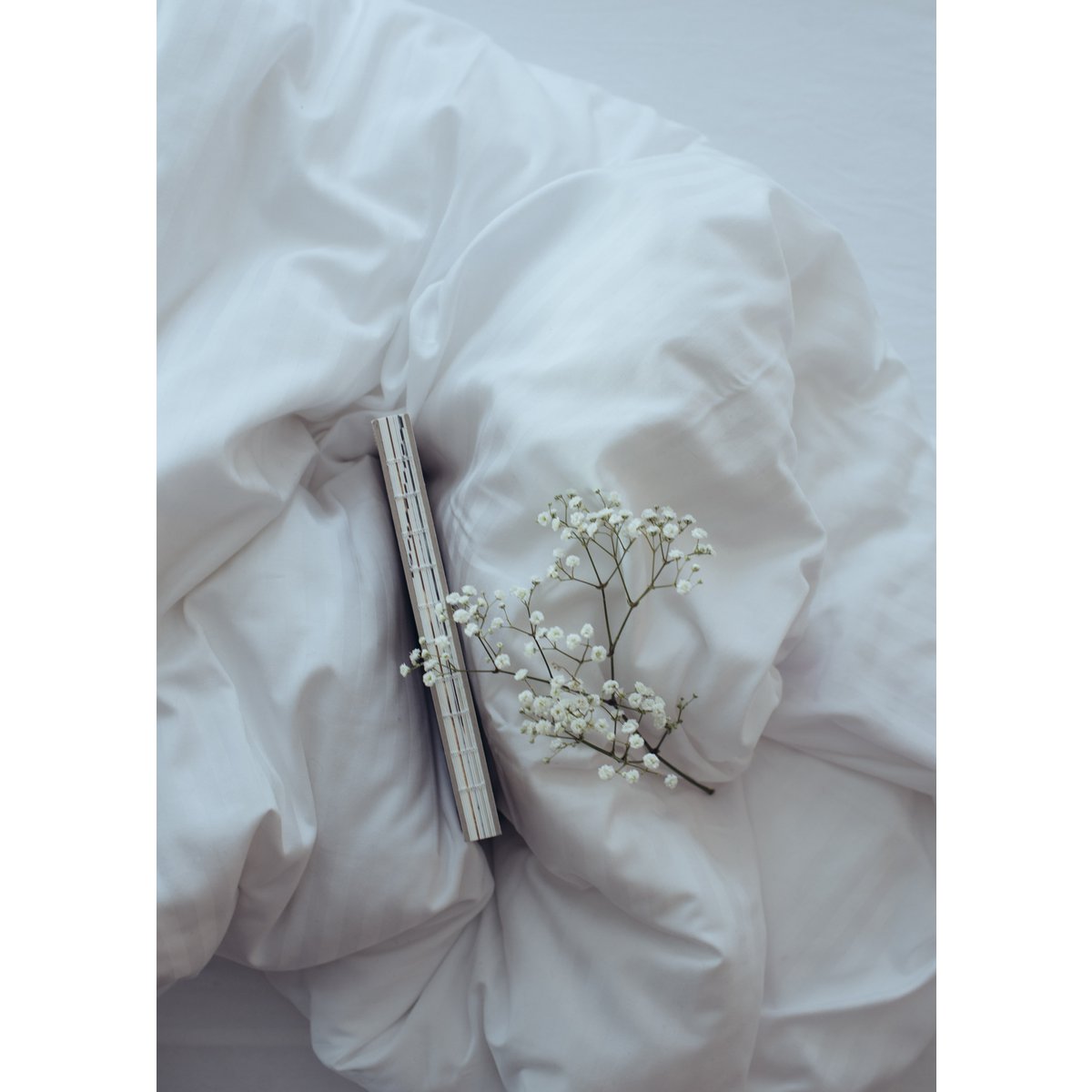 Blossome Journal - alemán