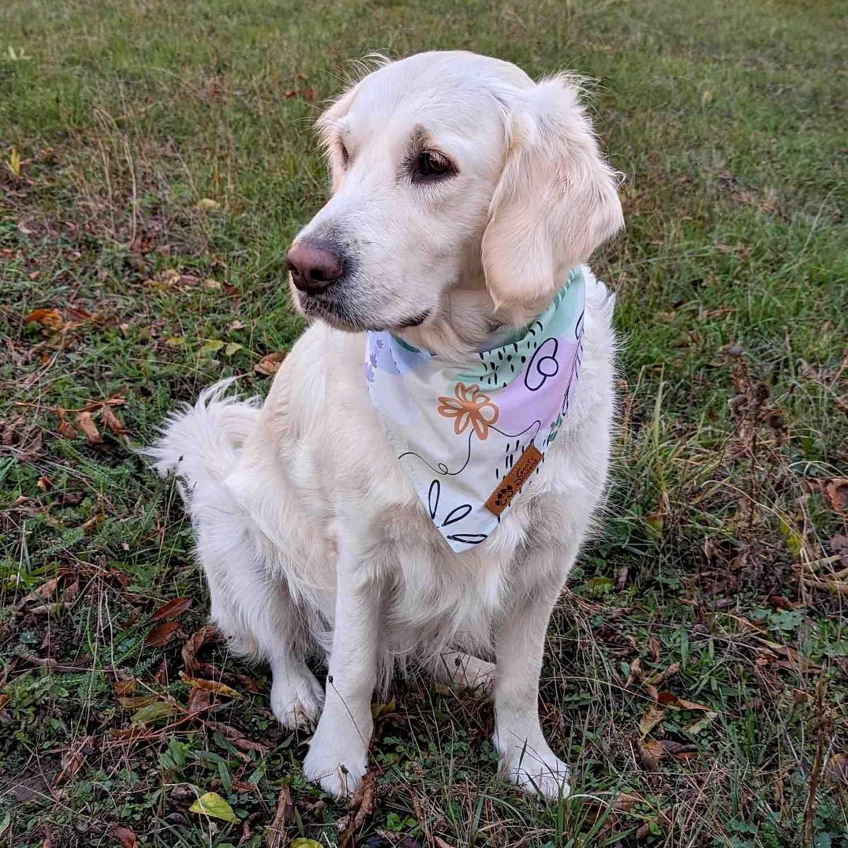 Pastel dog bandana