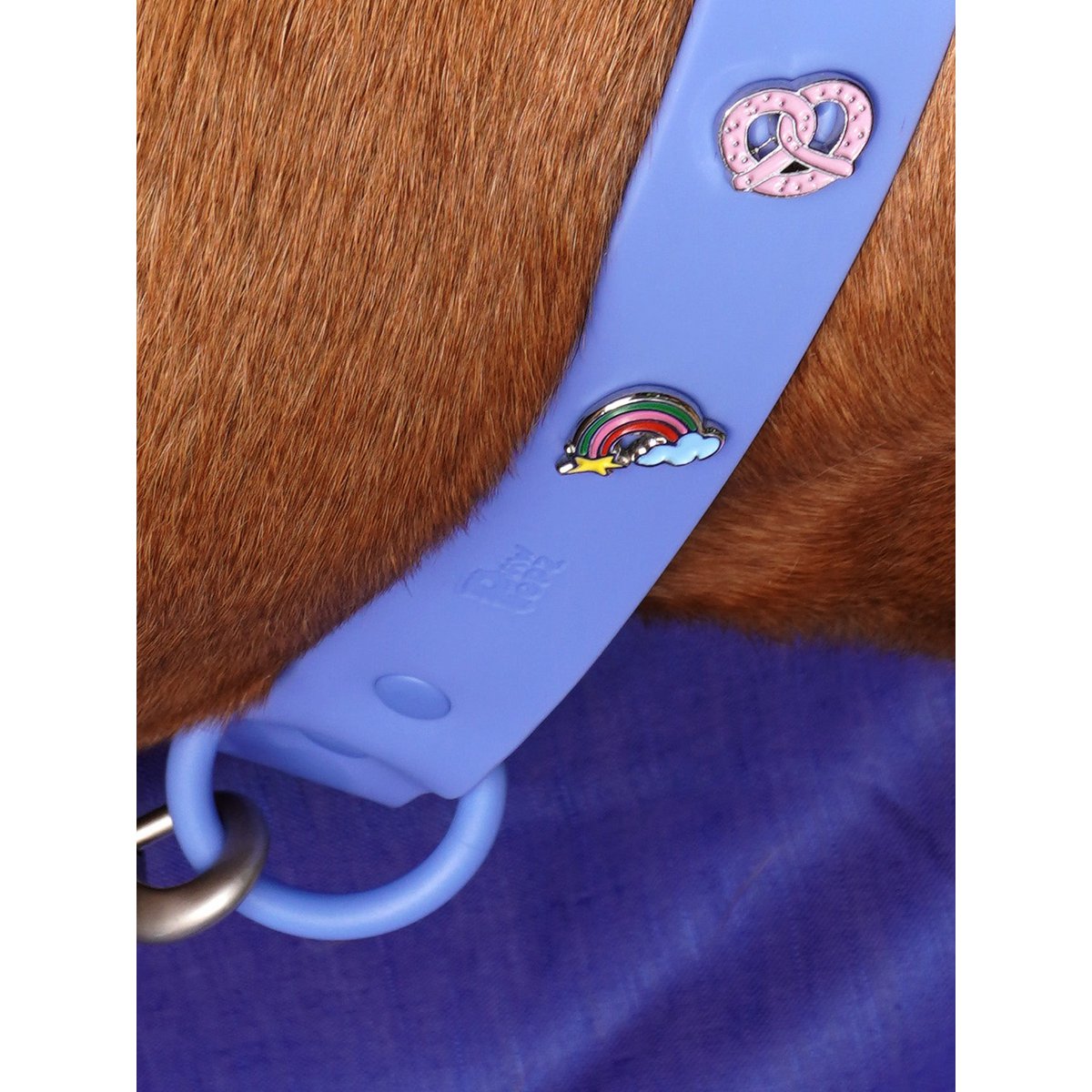 Breze Hundehalsband Anhänger