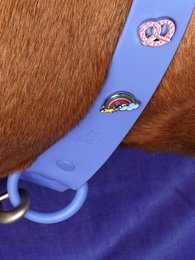 Breze Hundehalsband Anhänger