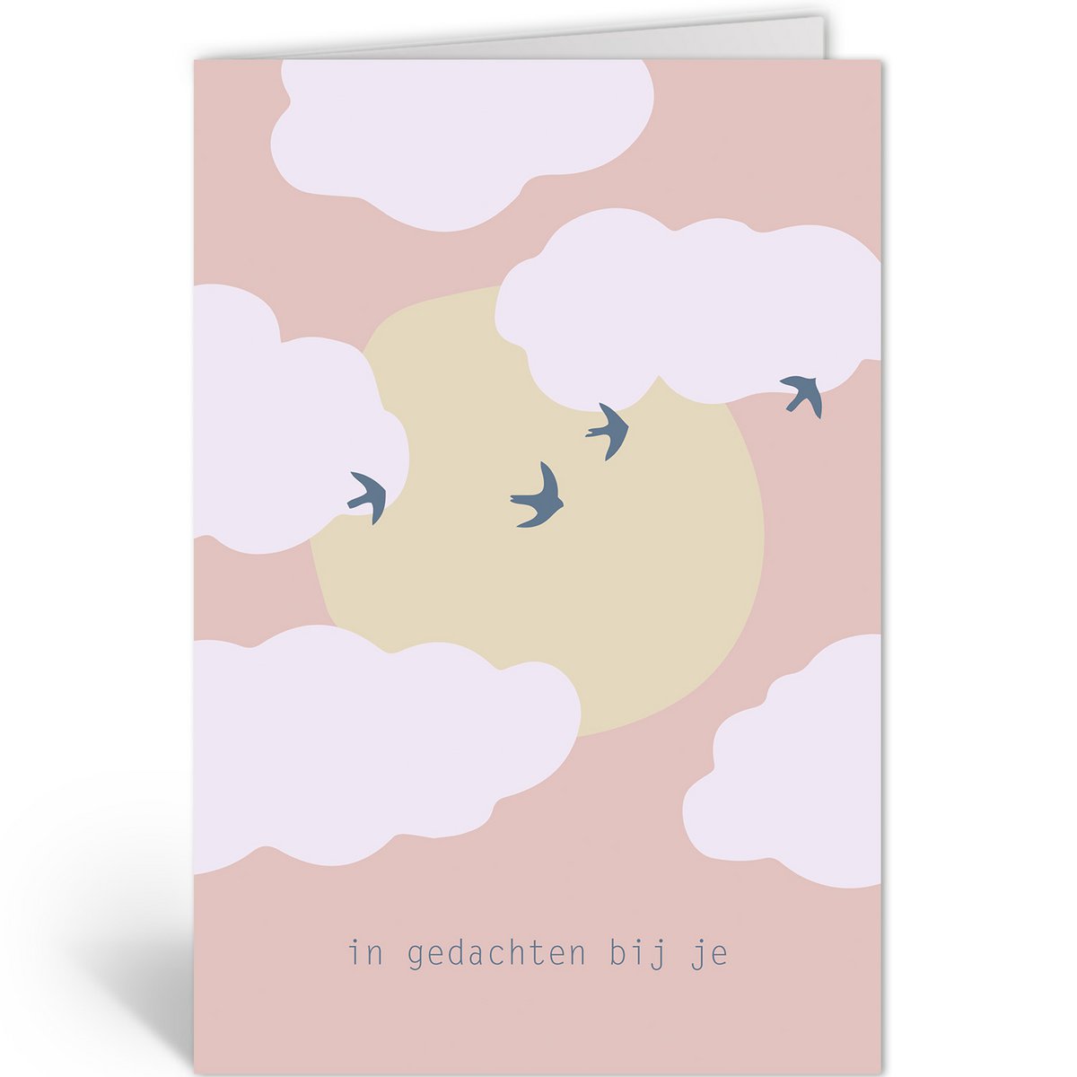 DLN205 - vol d'oiseau