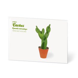 Cartolina di Opuntia microdasys