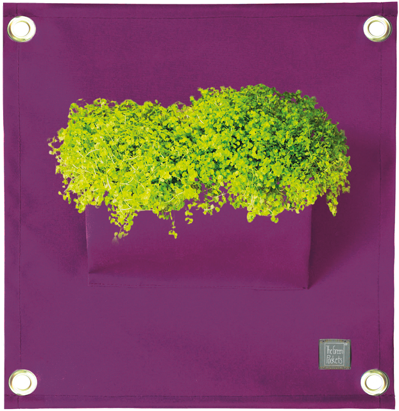 Die Green Pockets® AMMA Purple