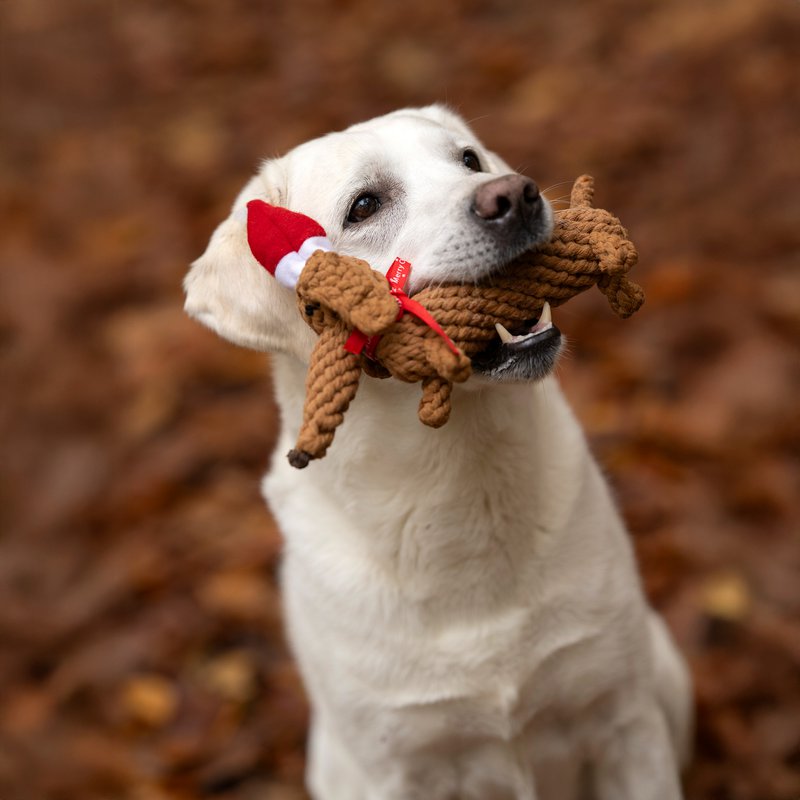 Santa Sausage – de kerstteckel