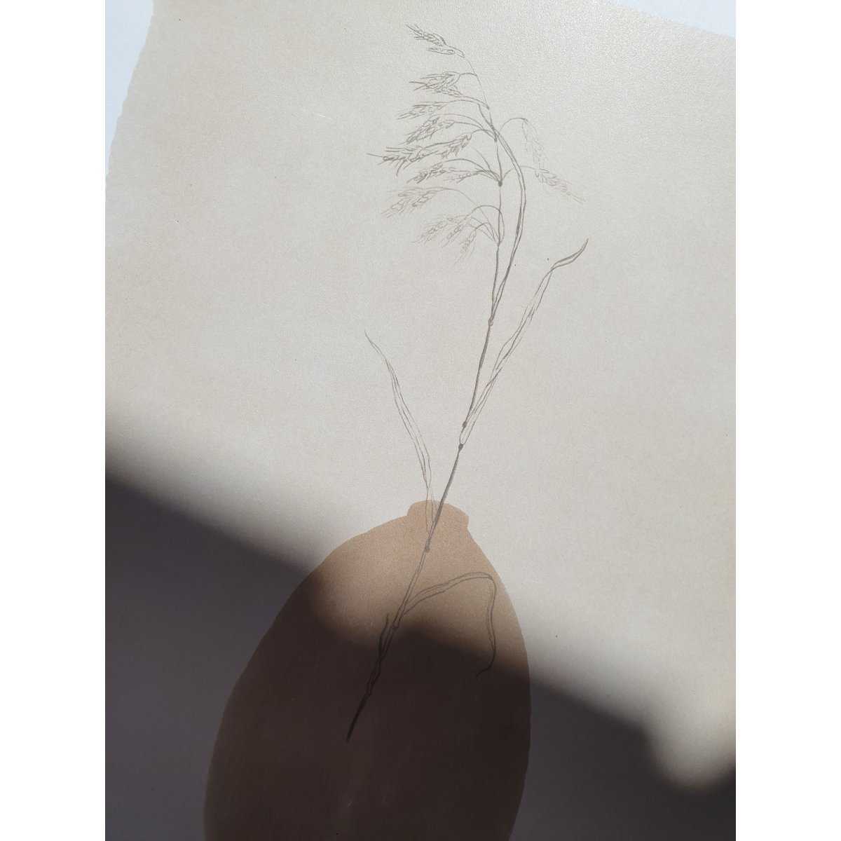 Scandi Gräser Poster "Grasses Brown Vase" A4 - Nachhaltige Kunstdrucke auf Recyclingpapier in Zellophan