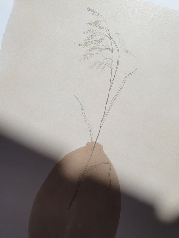Póster Scandi Grasses "Grasses Brown Vase" A4 - Impresiones artísticas sostenibles sobre papel reciclado en celofán