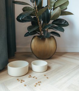 Ceramic food bowl Fennec - Size S