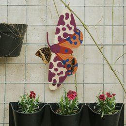 Garden Tiger Moth– wooden wall decoration, butterfly home art, decorative object