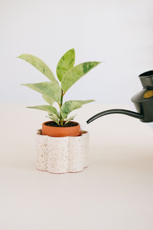 Selvvandende pot Paulita (r) - Speckled White