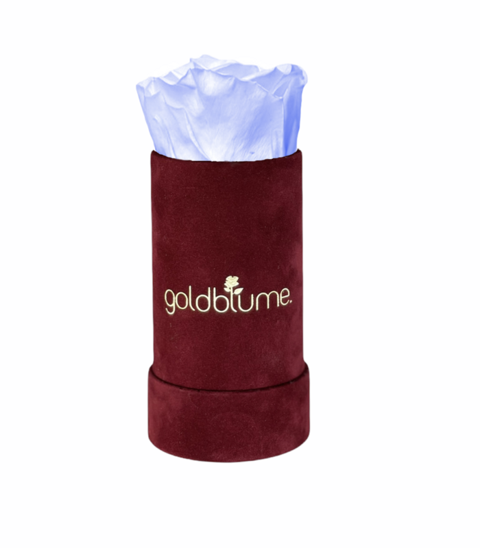 Velvet Bordeaux Collection