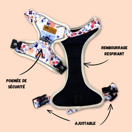 Imbracatura a Y Spring Comfort