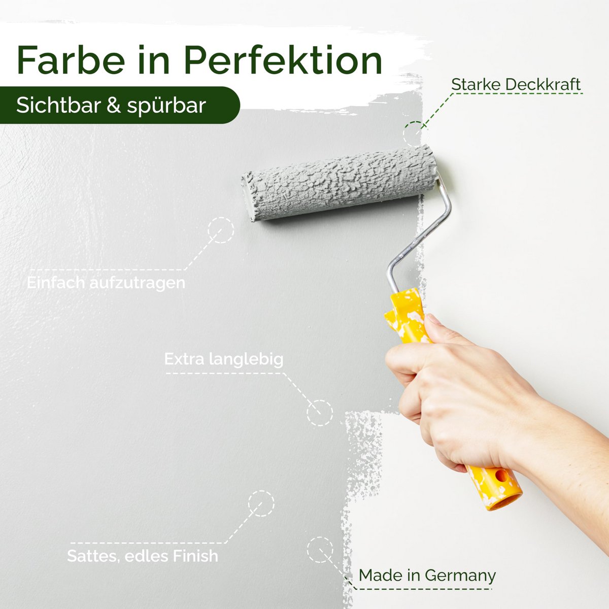 Veluxis® Wandfarbe Grau für den Innenraum - 2,5 Liter & Deckkraft-Klasse 1, Streifenfrei, tropfarm & Öko Farbe, VOC-frei - (Asian Noodles)