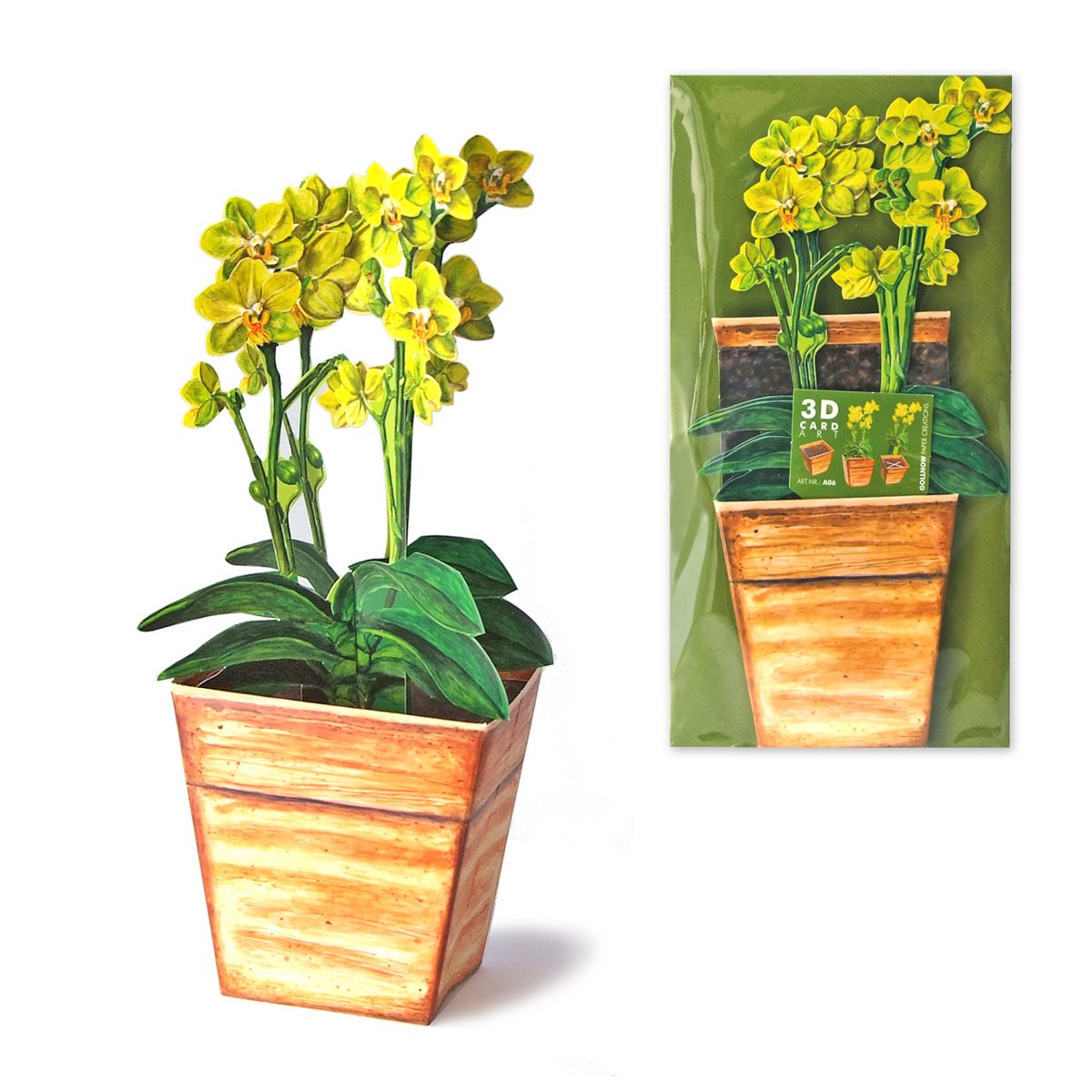 Carte d'orchidée florale 3D