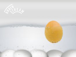 Seal beep egg / intelligent egg timer