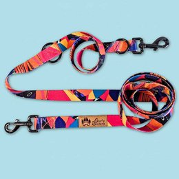 Panache multi-position leash