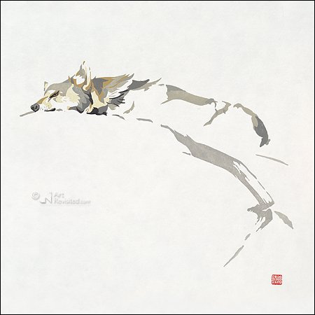 Card folder - Erik van Ommen, Hidden Nature
