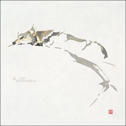 Card folder - Erik van Ommen, Hidden Nature