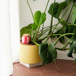 Olla - Pink og rød stribet