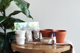 Paquet de bricolage Mosaic Flowerpot (2 pièces)