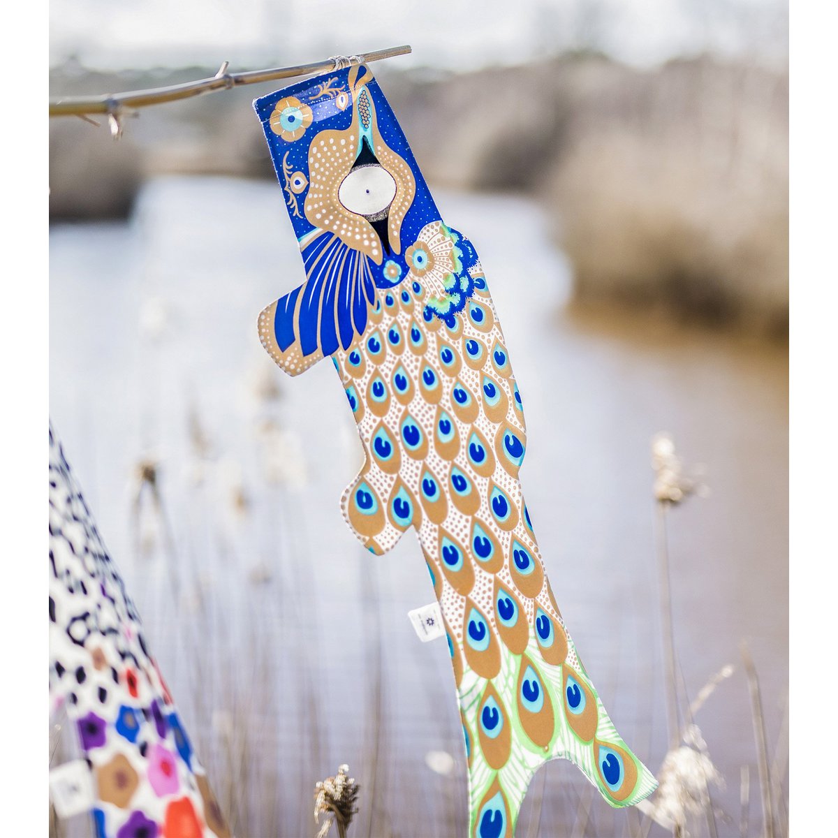 PEACOCK KOINOBORI (KOI2.7/S)
