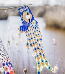 PEACOCK KOINOBORI (KOI2.7/S)